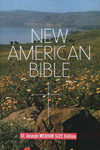 Bible Sale
