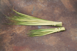 Long Double Palm Strips