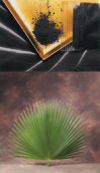 Ashes and Palms