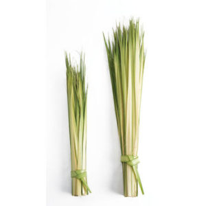 Short: Double Palm Strips and Altar Decor Palms