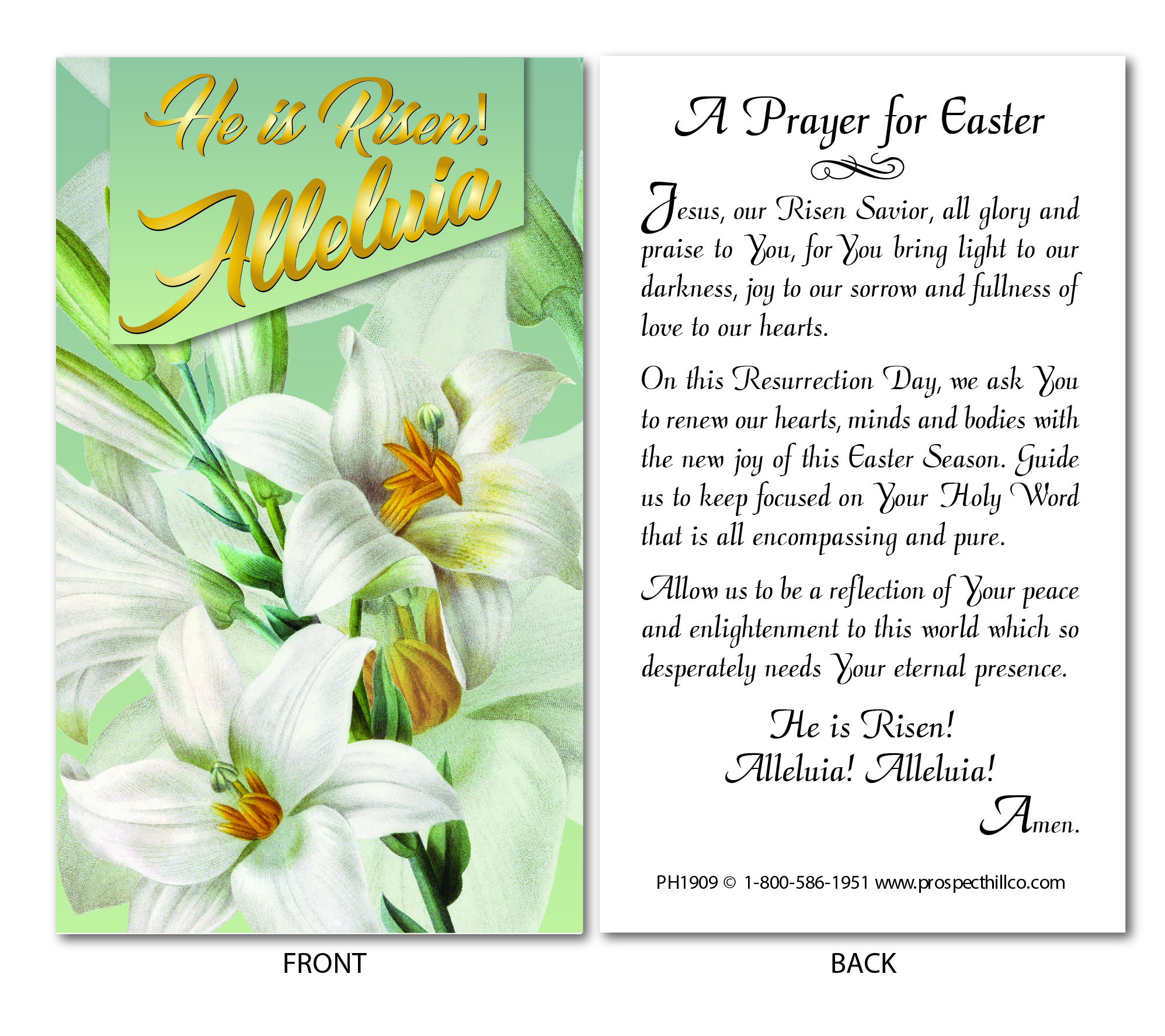 Download A Prayer for Easter (100 Count) - Prospect Hill Co.